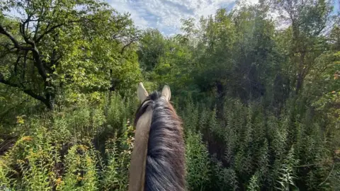 Tereplovaglás Biatorbágyon és környékén/ Csak lovagolni tudóknak 2