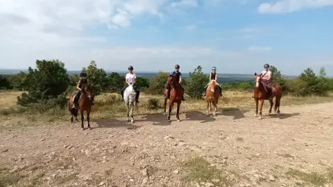 Tereplovaglás Biatorbágyon és környékén/ Csak lovagolni tudóknak 3
