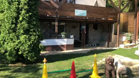 Kutyahotel ajándékba négylábú barátnak 3