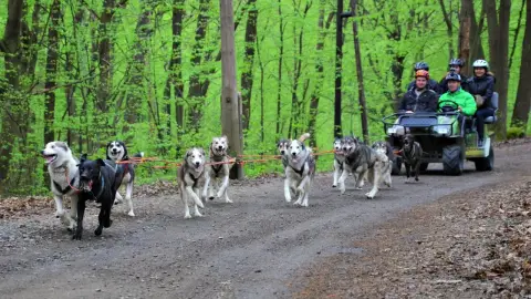 Husky kutyafogat túra 3