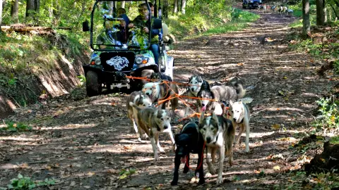 Husky kutyafogat túra 4