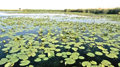 Duna-delta Horgászat 1 főre 1 hét 3