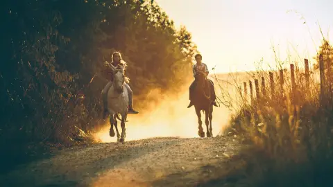 Lovasoktatás haladóknak akár ugró szintig a Bakonyban - 5 alkalmas bérlet 4