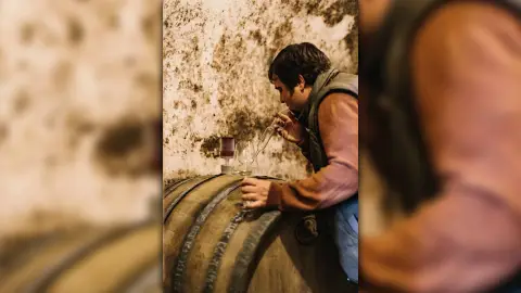 Barcza Pincészetben borkóstoló a Balaton felvidéki Somló hegyen 1