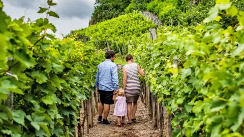 Barcza Pincészetben borkóstoló a Balaton felvidéki Somló hegyen 4