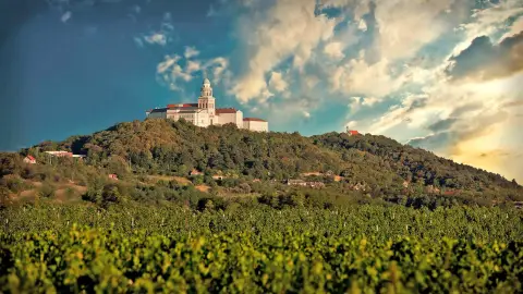 Pannonhalmi Apátsági Pincelátogatás 3 boros kóstolással 4