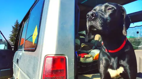 Családos Szarvasgomba vadászat kutyákkal ajándék csomaggal 5