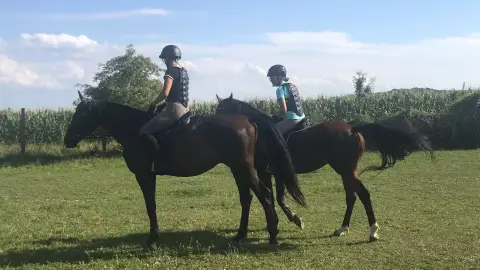 Páros Terep Lovaglási élmény Zalakaros melletti farmról indulva 4