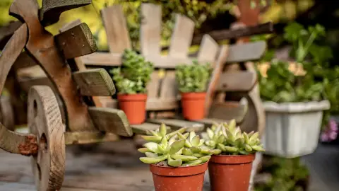 Erdőben, tóparton nagy vendégházban családdal barátokkal Cserkeszőlőn 2 éjszaka 9