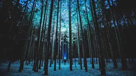 Lidércnyomás - A pályán teljes sötétségben lesztek végig! 4