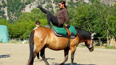 Felnőtt, vicces ügyességi Élménylovaglás a Wackor lovastanyán