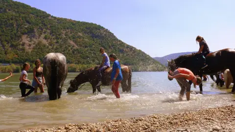 Lovas fürdőzés!Lómániásnak fantasztikus élmény a Dunakanyarban! 2