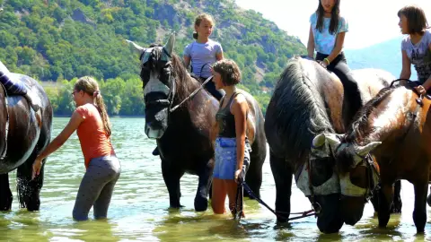 Lovas fürdőzés gyerekeknek a Dunakanyarban Dömösön!