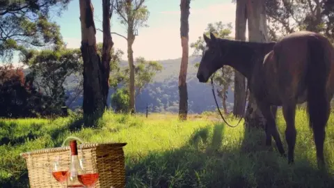 Romantikus Lovas piknik a Dunakanyarban