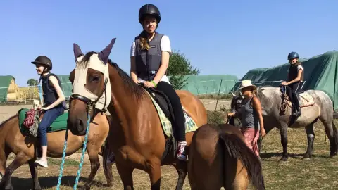 Sétalovaglás gyönyörű természeti környezetben a Dunakanyarban 1