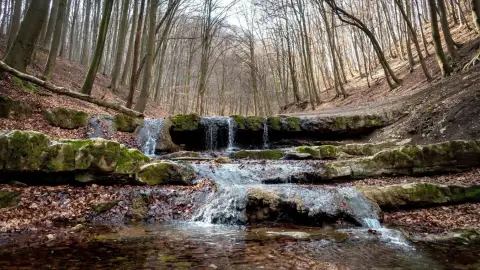 A Király kiszabadítása /Wofa szabadtéri játék a Mecsekben 4