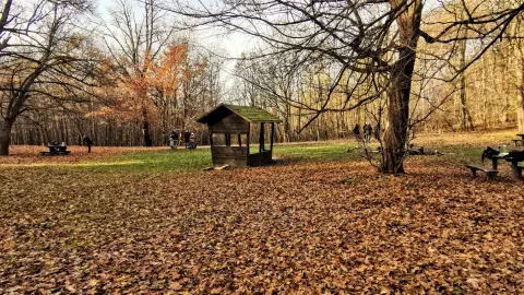 A Wombat család/Wofa szabadtéri játék Normafán 2