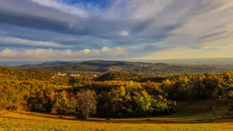 A Wombat család/Wofa szabadtéri játék Normafán 1