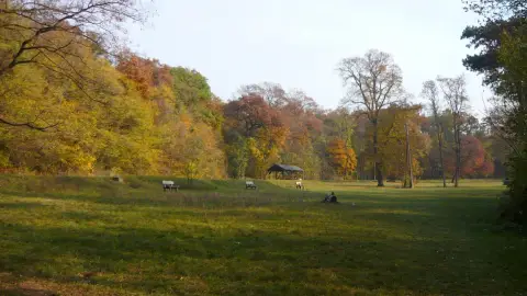 Zűrkutya/ World of Adventures szabadtéri játék Kamaraerdőben 3