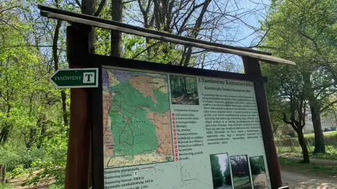 Zűrkutya/ World of Adventures szabadtéri játék Kamaraerdőben 2