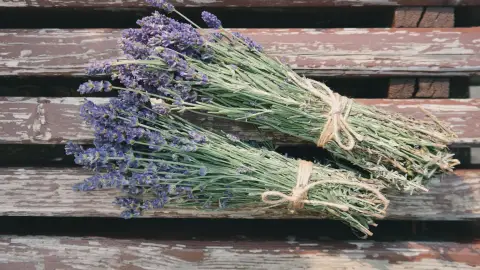 Krémkészítő workshop a Lavender Tihany laborjában 2