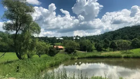 Suttogó erő - A LOVAK ÉS A TE UTAD Hollókőn 1