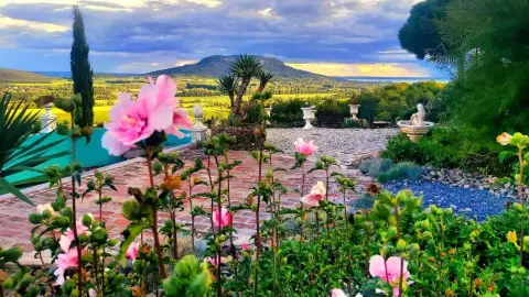 Balatoni Mediterrán Kertlátogatás, degusztációs menüvel 2 főre 1