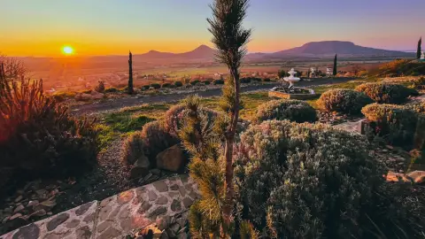 Balatoni Mediterrán Kertlátogatás, degusztációs menüvel 2 főre 9